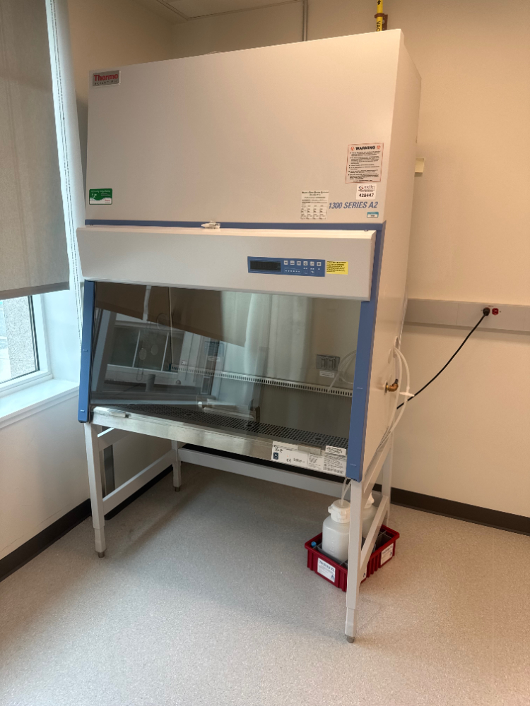 Image of Thermo 1300 Series A2 4' BioSafety Cabinet